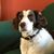 Lisa Dannemiller-Edgehouse's profile image
