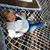 Julie Jewls Wright's profile image