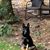 Marsha Eberhardt's profile image