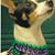 Anne Vallin's profile image