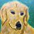 Paula Shults's profile image