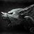 John Bruner's profile image