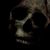 Sebastian Amberg's profile image