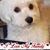 Christine F Angermeier's profile image