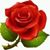 Cece RZ's profile image