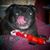 Roger A. Obie's profile image