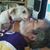 Vincent DiPaolo's profile image