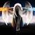 Magda McDade Stucki's profile image