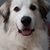 Debbie Chapman's profile image