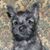 Karen Cleek's profile image