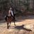 Patti McAuley Berman's profile image