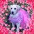 Carla Marie's profile image
