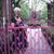Peggy Lail's profile image