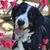 Kristopher Hassett's profile image