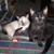 Sandra Parsons Slusser's profile image