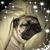 Debbie L Brown Wieczorek's profile image