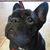 Karen LaBorde's profile image