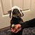 Kelly Spittle's profile image