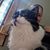 Kathryn Simpson's profile image