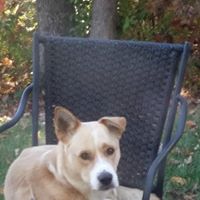 Lowell A. Galumbeck's profile image