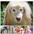 Kathy Klein's profile image