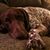 Gail Husen Nebl's profile image