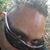 Carl Walker's profile image