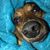 Jeanine Garcia's profile image