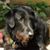 Darla A. Leach's profile image