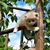 Lisa Arndtson Rohlik's profile image