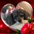 Christine Laboissonniere's profile image