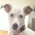 Linda Moody Watson's profile image