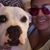Lizette Schinauer's profile image