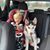Belinda Rossiter's profile image
