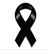 Alia Alvarez's profile image