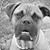 Amy Stilwell's profile image