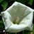 Judi Dozeman Wyman's profile image