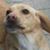 Roberta Hanson's profile image