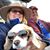 Susan Collier's profile image