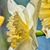 Tammy Braswell's profile image