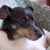 Deborah Daley's profile image