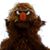 PC Dinkel's profile image