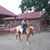 Eliseo Alvidrez's profile image