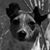 Dan Metcalf's profile image