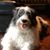 Michael Valladares's profile image