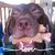 Meredith Lawrence's profile image