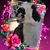 Kathryn Elizabeth Hall's profile image