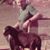 Jodi Atchison's profile image