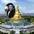 Kwan Kong's profile image