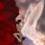 Noel Holden's profile image